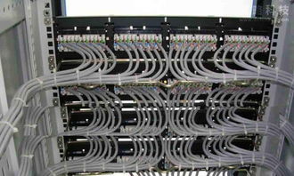 專業(yè)網(wǎng)絡(luò)布線、安防監(jiān)控安裝與動漫設(shè)計 構(gòu)建智能高效的數(shù)字環(huán)境